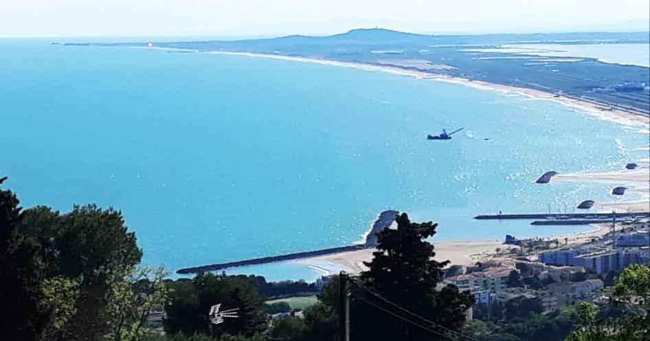 Joli F3 Sete A La Caraussanne Apartment Bagian luar foto